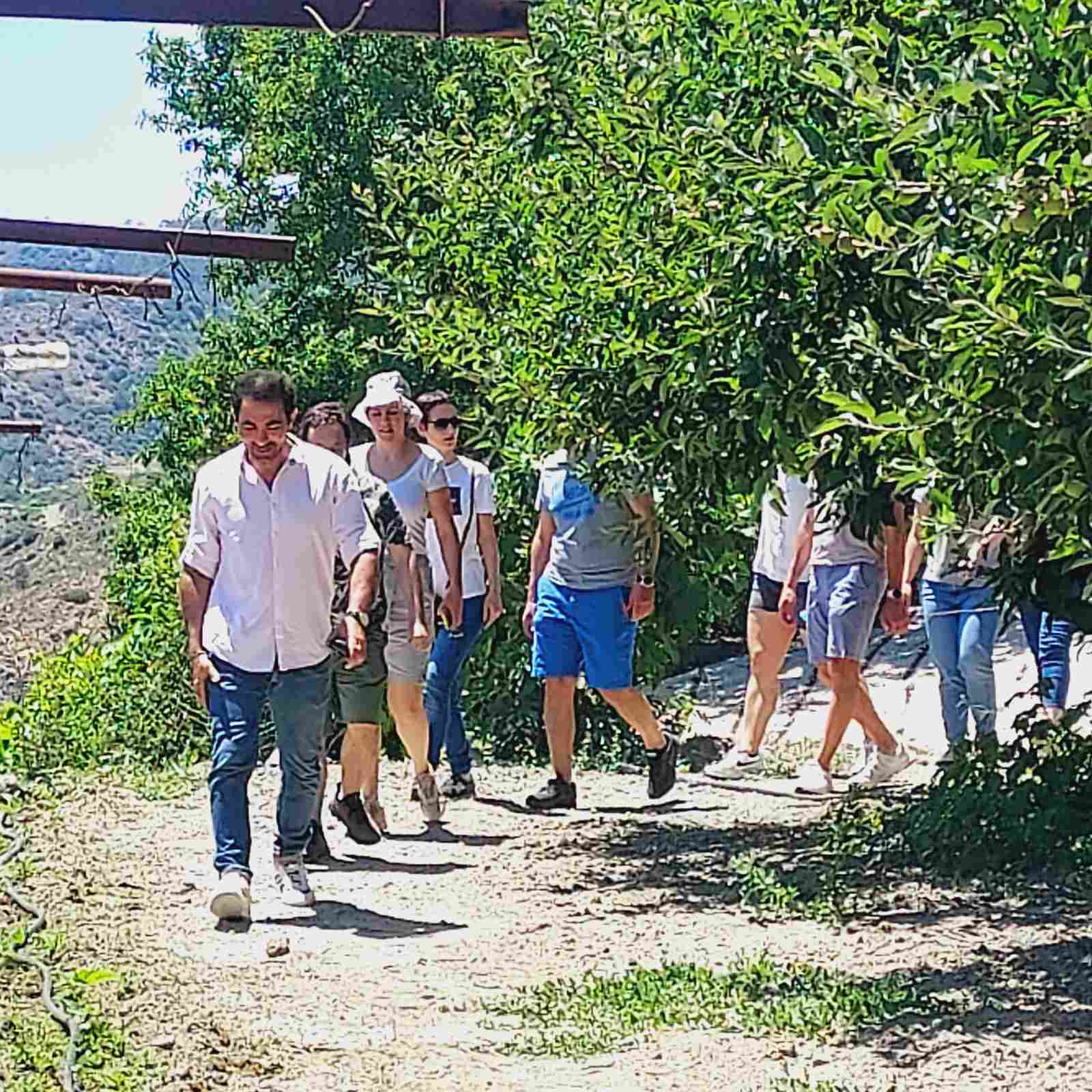 Επισκέπτες σε περίπατο στον αμπελώνα